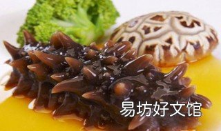 怎么发海参最佳方法 发海参最简单的方法