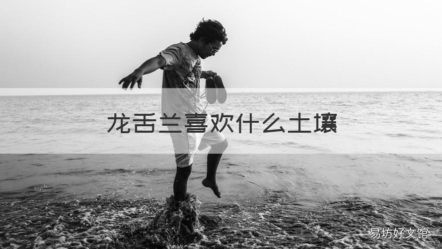 龙舌兰喜欢什么土壤 龙舌兰土壤酸性还是碱性