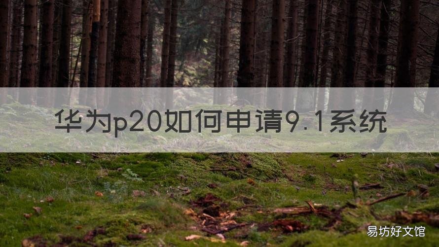 华为p20如何申请9.1系统 华为p20可以升级emui10.1