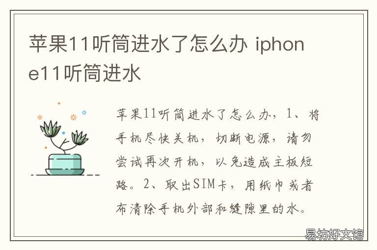 苹果11听筒进水了怎么办 苹果11听筒进水怎么解决