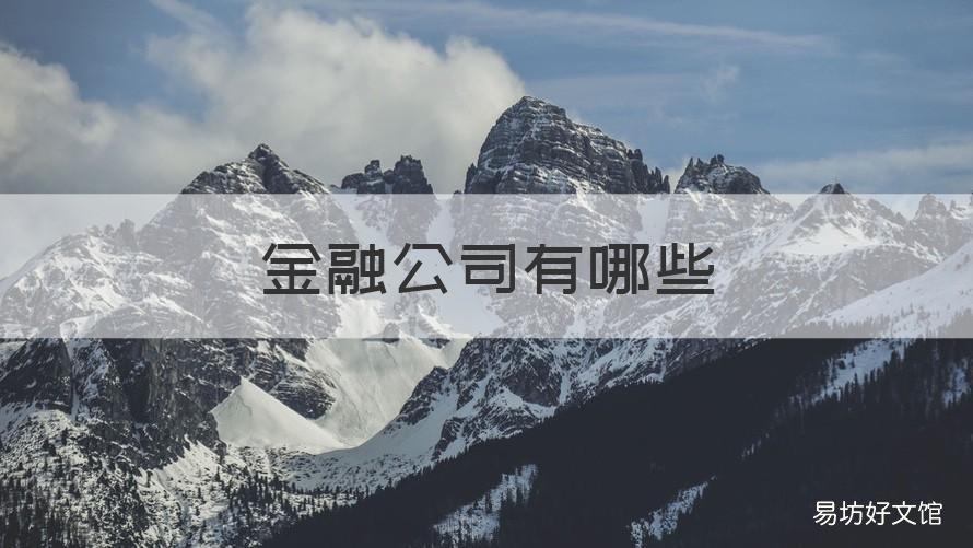 金融公司有哪些 上市的金融公司有哪些