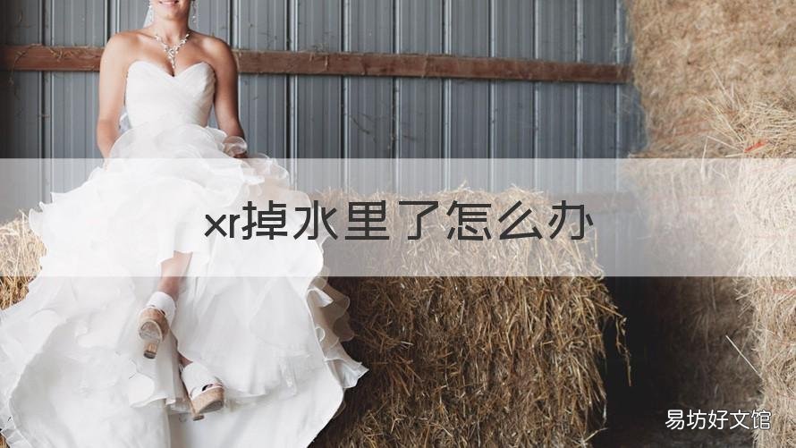 xr掉水里了怎么办 iPhone XR掉水里