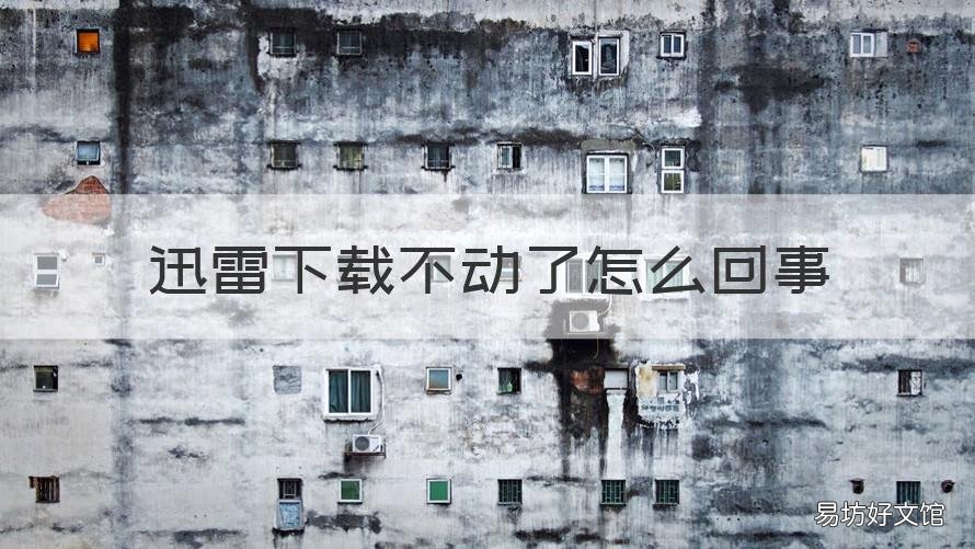 迅雷下载不动了怎么回事 迅雷下载不会动