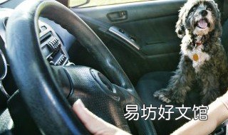 汽车内饰怎么清洗 汽车内饰怎么清洗?空调孔里面全是灰