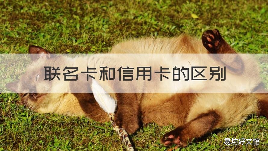 联名卡和信用卡的区别 联名卡有什么优点