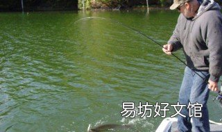 河里钓鱼技巧 河里钓小鱼技巧