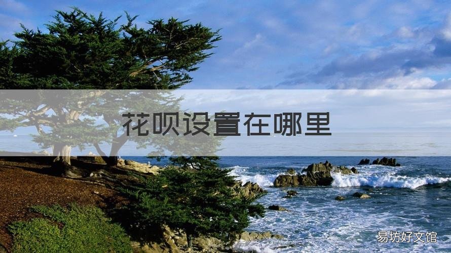 花呗设置在哪里 花呗的支付设置在哪里