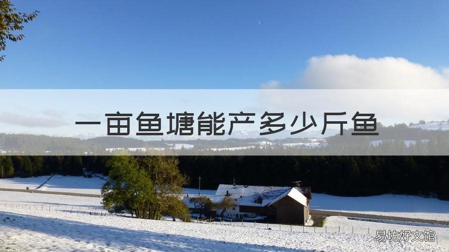 一亩鱼塘能产多少斤鱼 一亩鱼塘能产多少斤鱼罗非