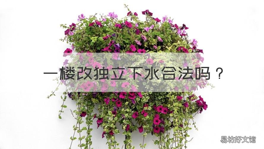 一楼改独立下水合法吗