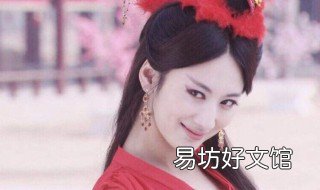 神医传奇电视剧半夏喜欢谁 神医传奇夏儿的结局