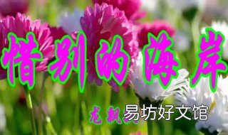 只有挥手说再见原唱 和昨天说再见挥挥手说再见是哪首歌