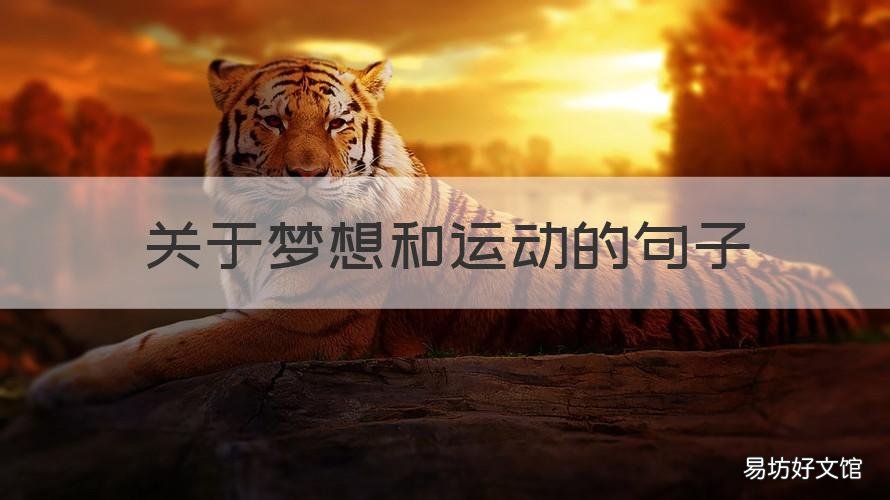 关于梦想和运动的句子 运动会放飞梦想的励志句子