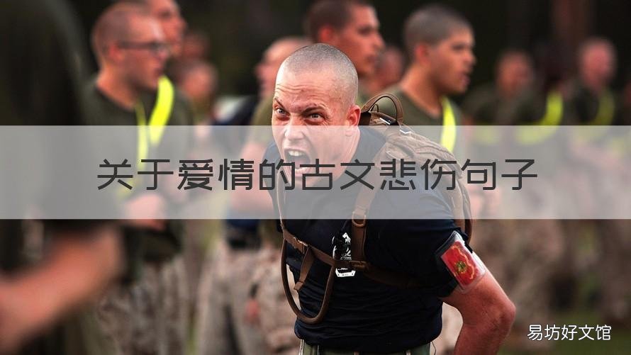 关于爱情的古文悲伤句子 古文名句爱情伤感