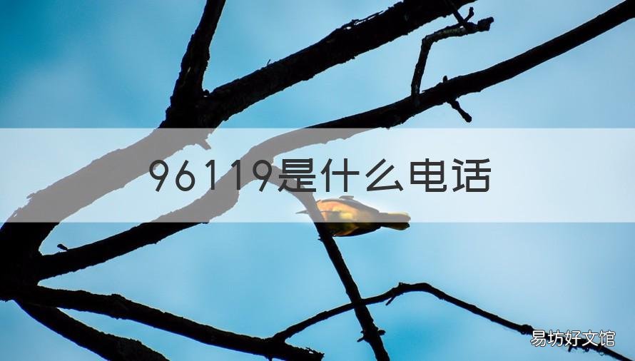 96119是什么电话 96119是什么电话 新闻