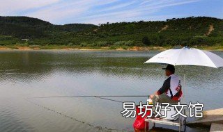 东江钓鱼什么饵料好 东江钓鱼什么饵料好钓