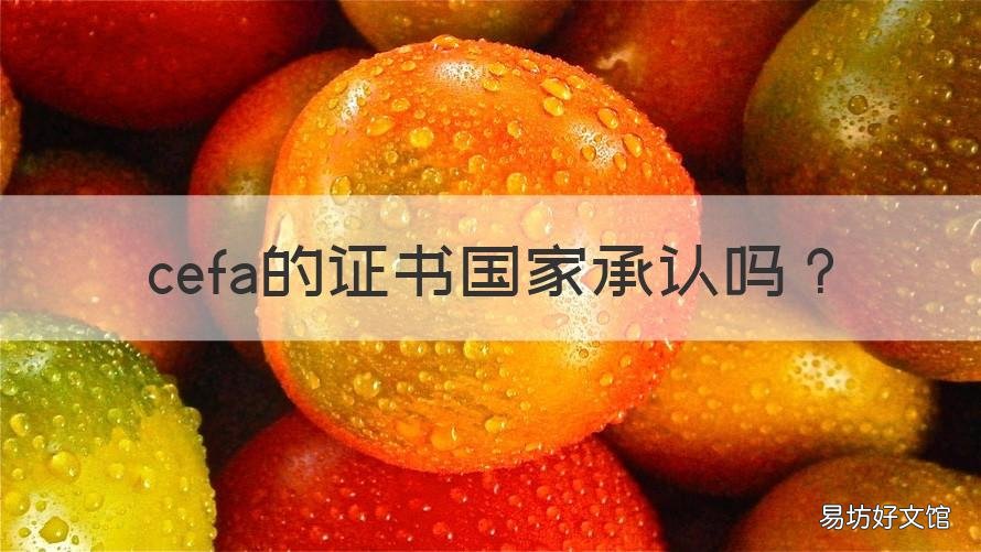 cefa的证书国家承认吗 CEFA的证书