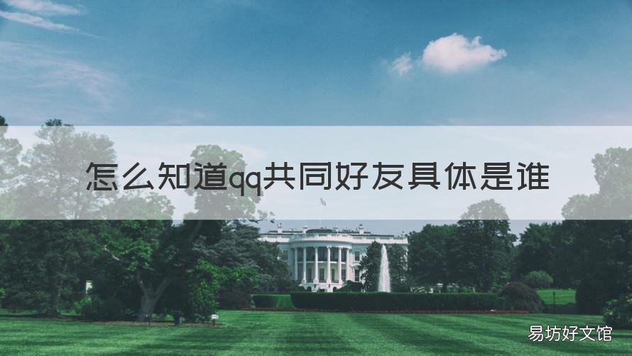 怎么知道qq共同好友具体是谁