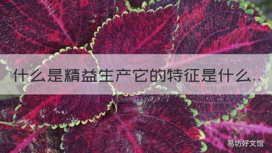 什么是精益生产它的特征是什么 什么是生产?什么是精益生产?