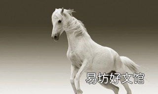 1990属马几日出生最好 1990年属马几月出生好