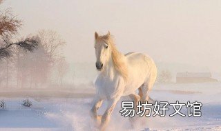 1966属马出生几日最好 属马的1966年生今年多大