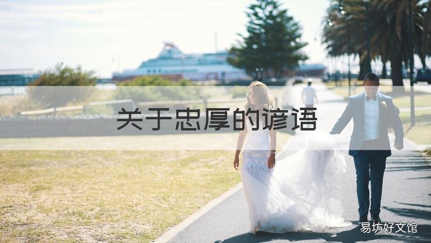 关于忠厚的谚语 忠厚的歇后语
