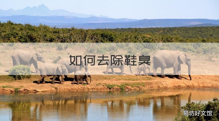 如何去除鞋臭 如何去除鞋臭小妙招