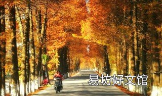 初冬暖阳唯美的句子 关于初冬的温暖的句子
