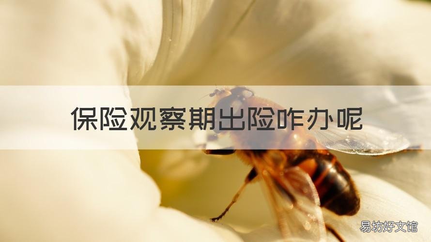 保险观察期出险咋办呢 什么叫保险观察期