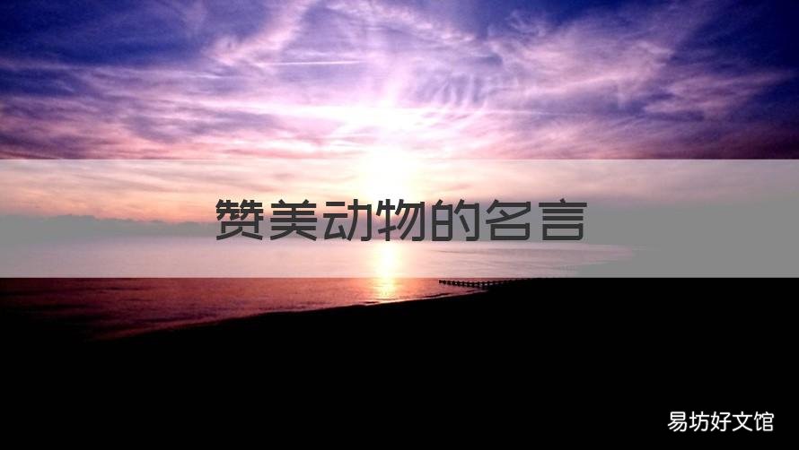 赞美动物的名言 赞美动物的美句