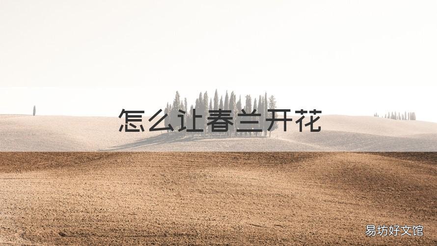 怎么让春兰开花 兰花怎么春花