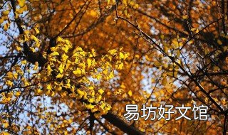 冷雨黄叶飞的古诗 有关冷雨的诗