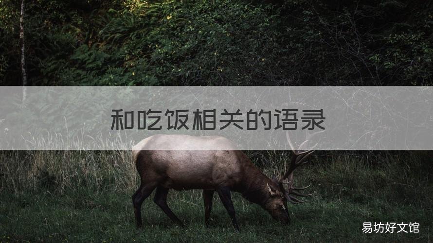 和吃饭相关的语录 吃饭时的语录