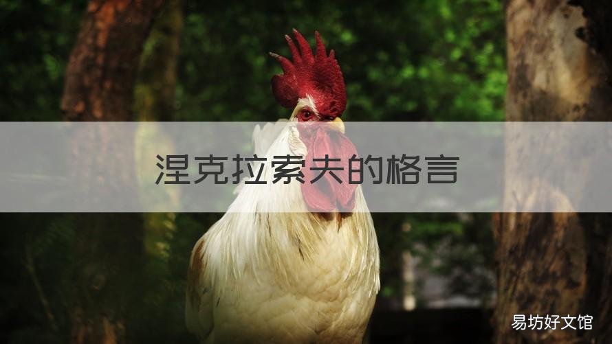 涅克拉索夫的格言 涅克拉索夫诗歌