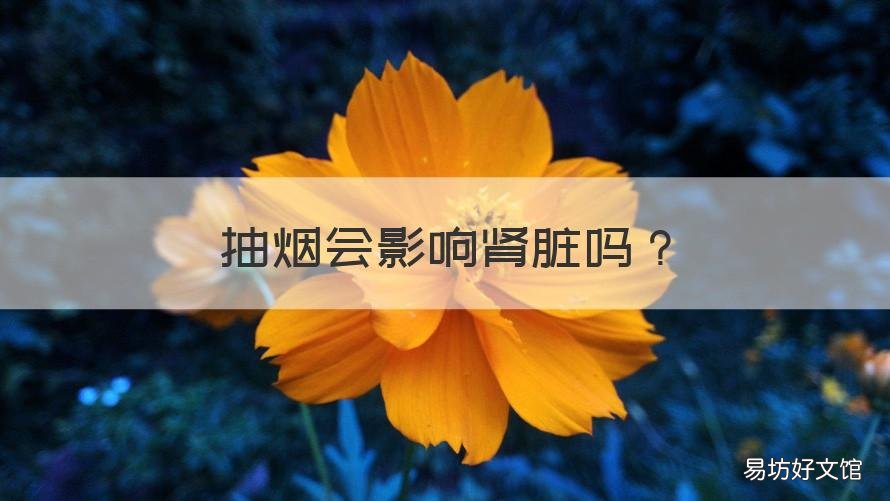 抽烟会影响肾脏吗 抽烟会对肾脏有影响吗
