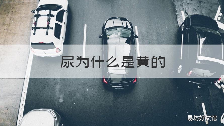 尿为什么是黄的 兔子的尿为什么是黄的