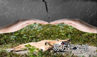 怎么爱护小动物 怎么爱护小动物的家