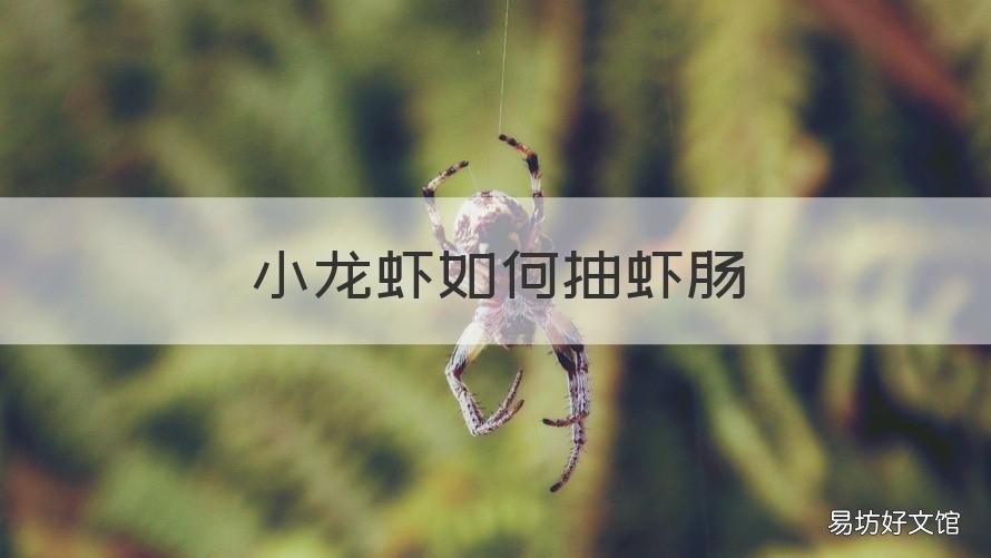 小龙虾如何抽虾肠 小龙虾如何抽虾肠视频教程