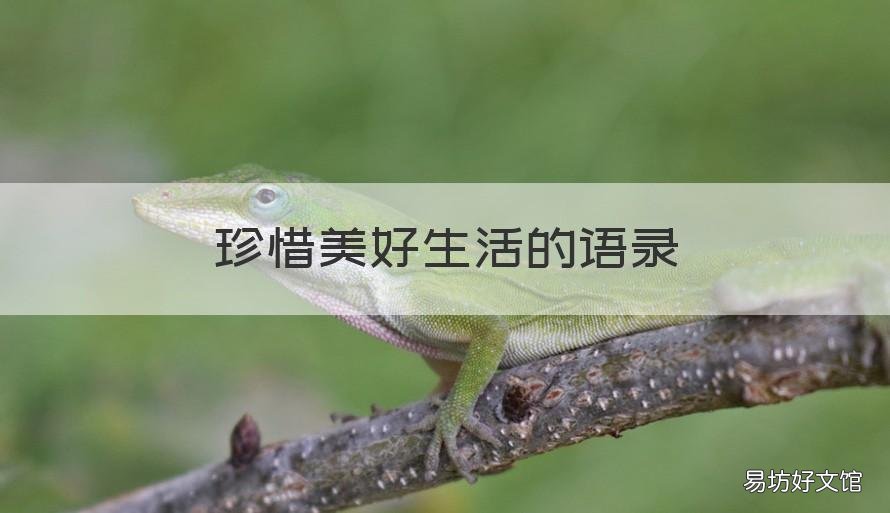 珍惜美好生活的语录 珍惜生活句子经典语录