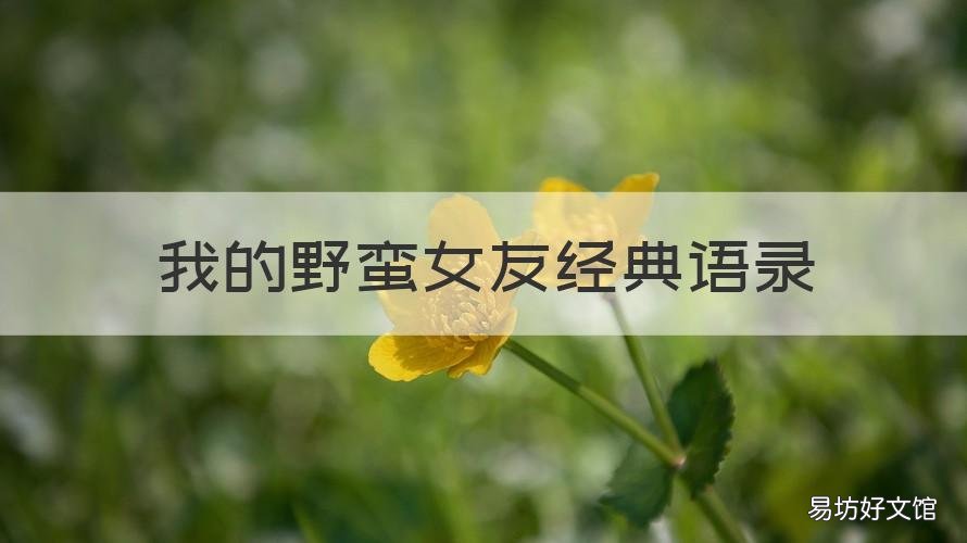 我的野蛮女友经典语录 我的野蛮女友经典语录英语