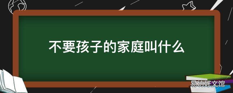 不要孩子的家庭叫什么