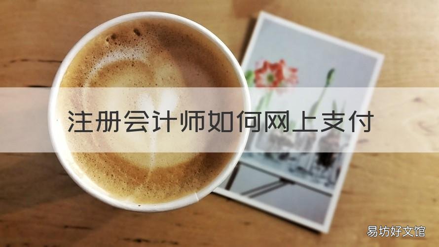 注册会计师如何网上支付 注册会计师报名如何网上支付