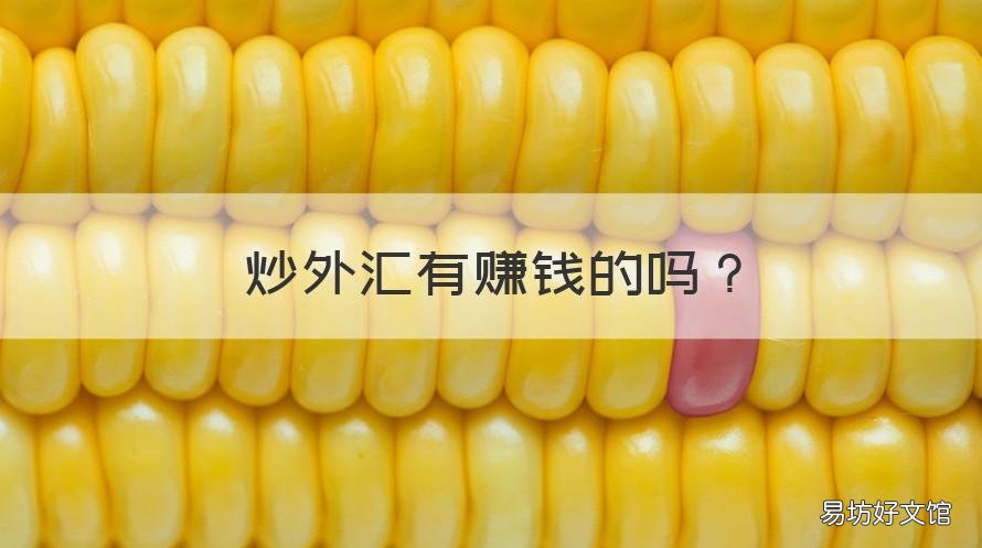 炒外汇有赚钱的吗 炒外汇赚谁的钱