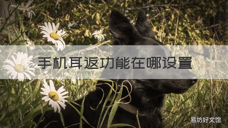 手机耳返功能在哪设置 vivo手机耳返功能在哪设置