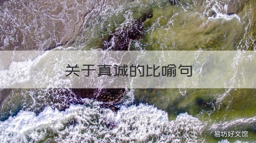 关于真诚的比喻句 真诚比喻造句