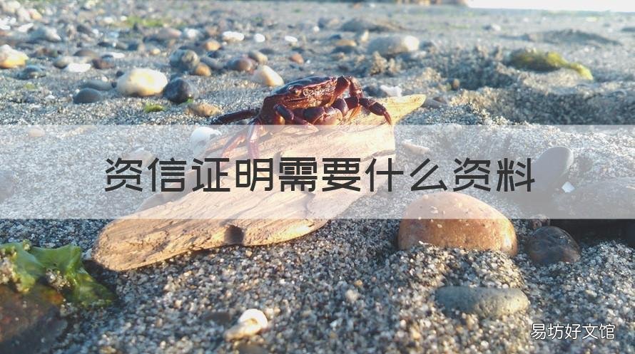 资信证明需要什么资料 企业资信证明需要什么资料