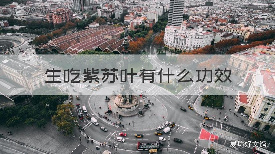 生吃紫苏叶有什么功效 生吃紫苏叶有什么功效和禁忌