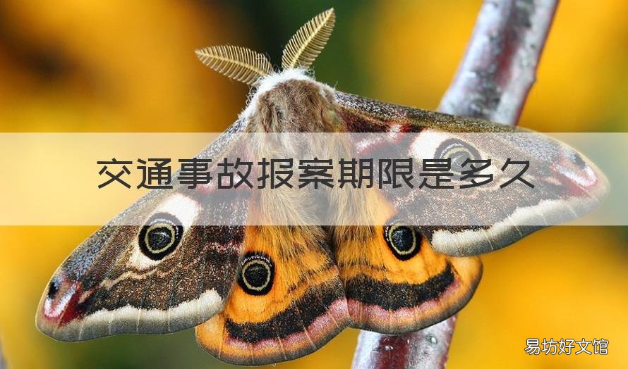 交通事故报案期限是多久