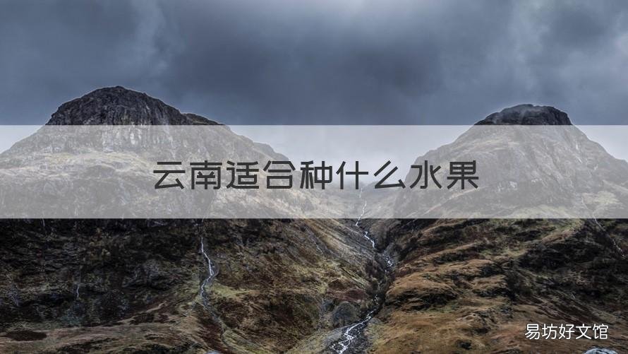 云南适合种什么水果 云南种植什么水果前景最好