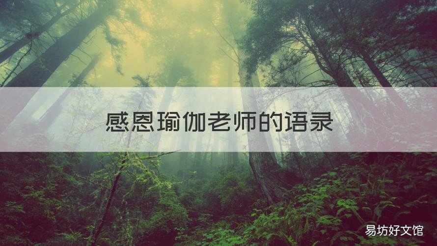 感恩瑜伽老师的语录 瑜伽经典语录,关于感恩