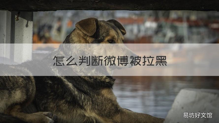 怎么判断微博被拉黑 怎么判断微博被没被拉黑